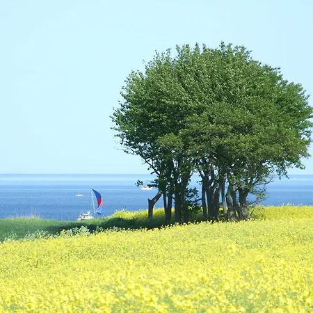 Ostseeglueck Schönhagen